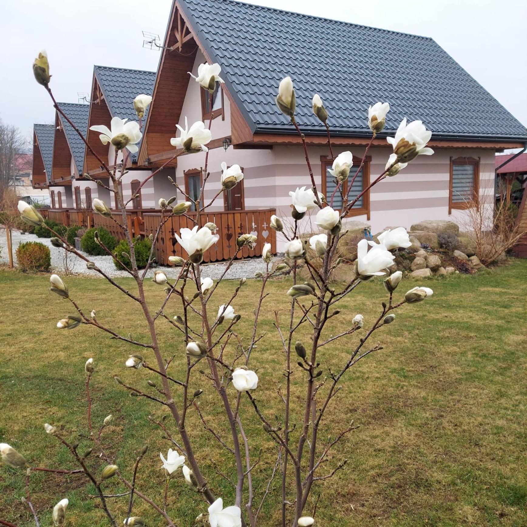 Domki U Justyny Podgórzyn Exterior foto