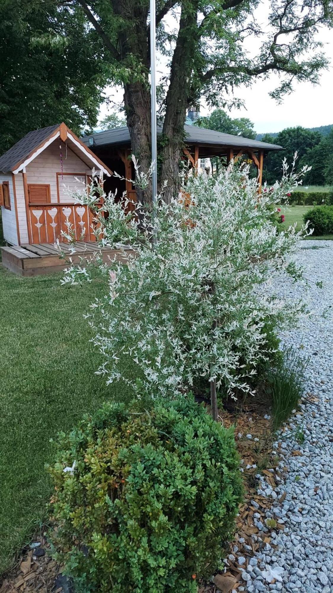 Domki U Justyny Podgórzyn Exterior foto